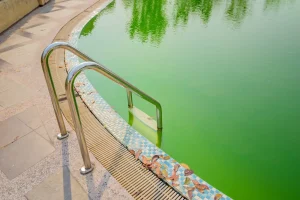 Juipool Swimming Pool Algaecide